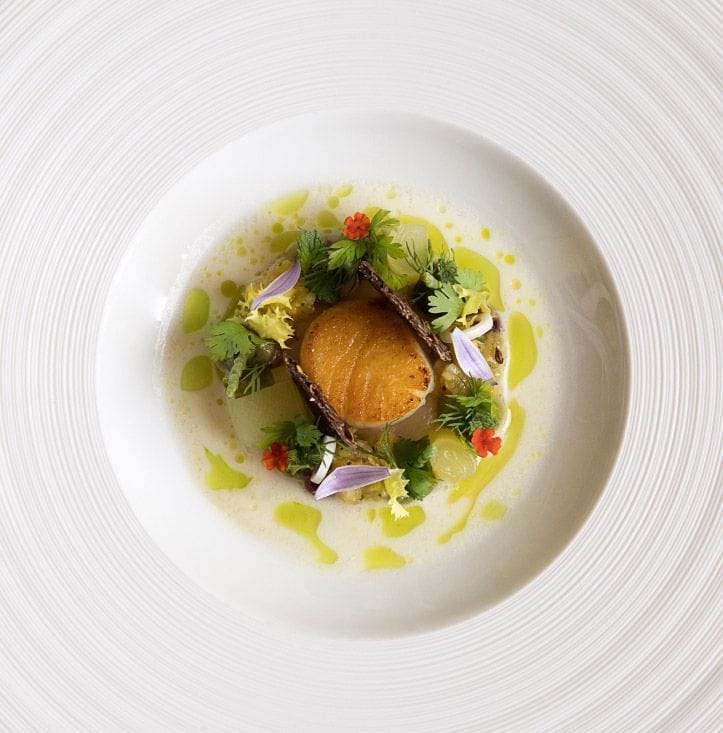 A gourmet dish with a seared scallop, garnished with herbs, edible flowers, and a drizzle of sauce, elegantly presented on a white plate