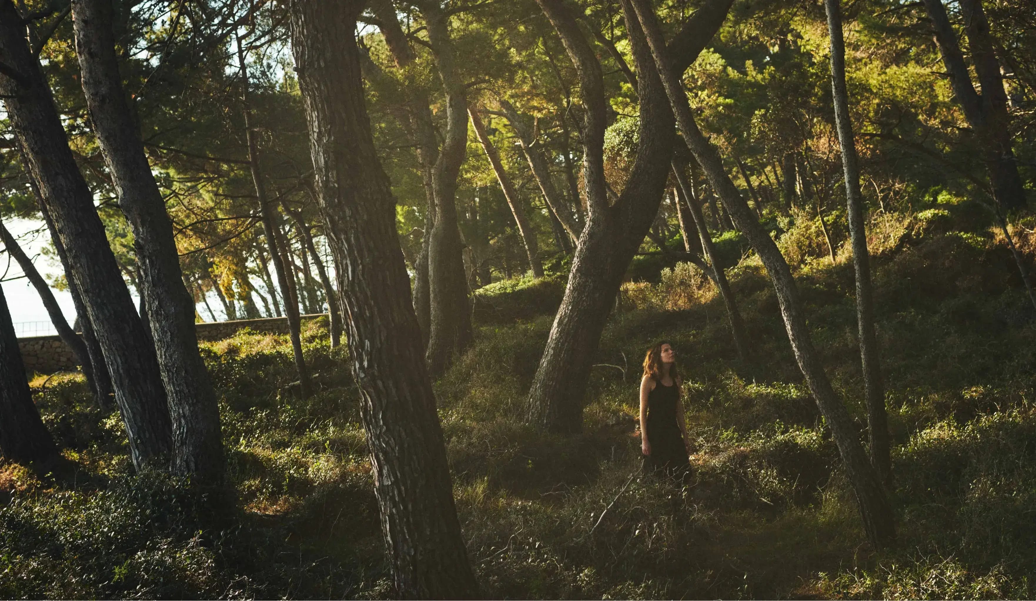 A person in a black dress walking meditatively through a serene forest, with sunlight filtering through the tall trees