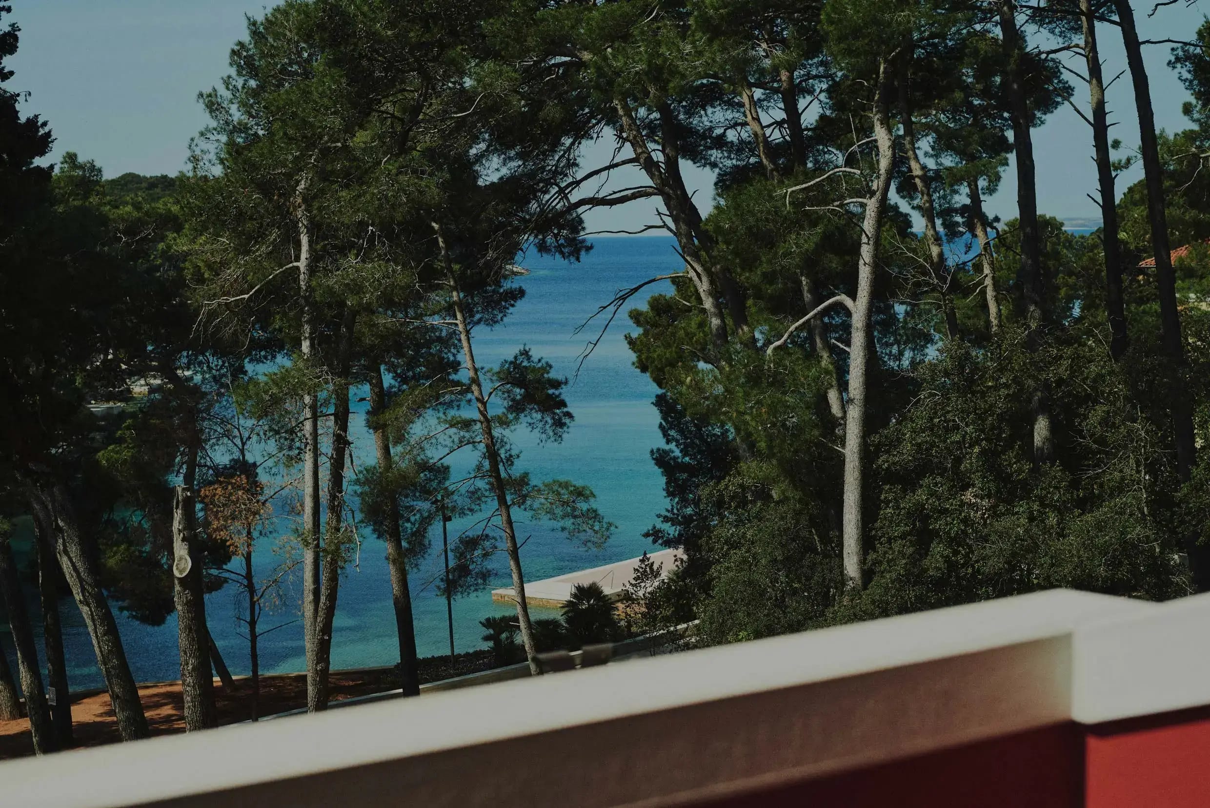 A serene view of the sea glimpsed through a screen of lush, tall pine trees, hinting at a tranquil coastal setting